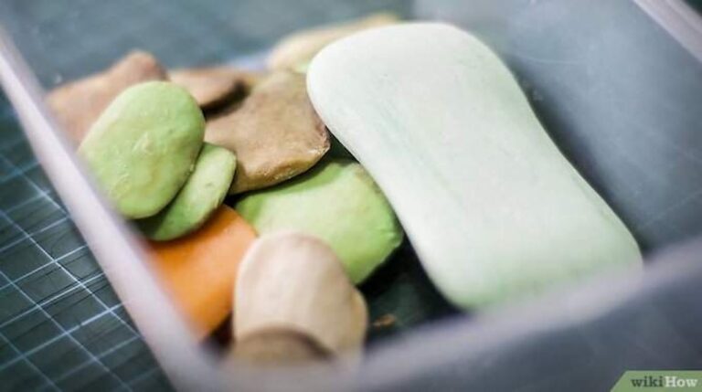 Comment utiliser des restes ?