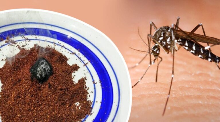 Comment utiliser le Calvados ? Comment utiliser le Calvados ?