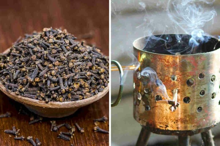 Comment utiliser le clou de girofle pour faire l’amour ? Comment utiliser le clou de girofle pour faire l'amour ?