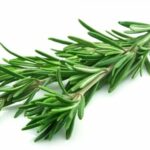 Comment utiliser le romarin frais ?