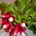 Comment utiliser les fanes de radis en cuisine ?