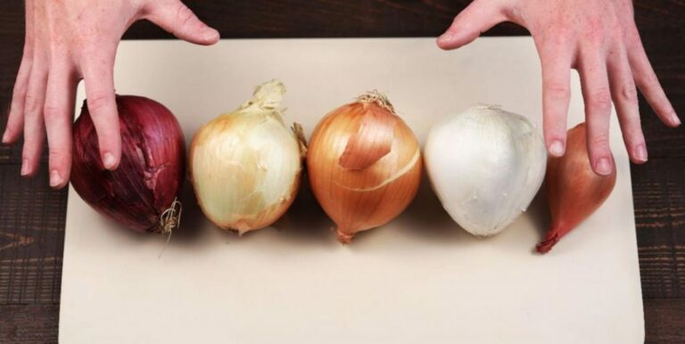 Comment utiliser les fanes d'oignons ?