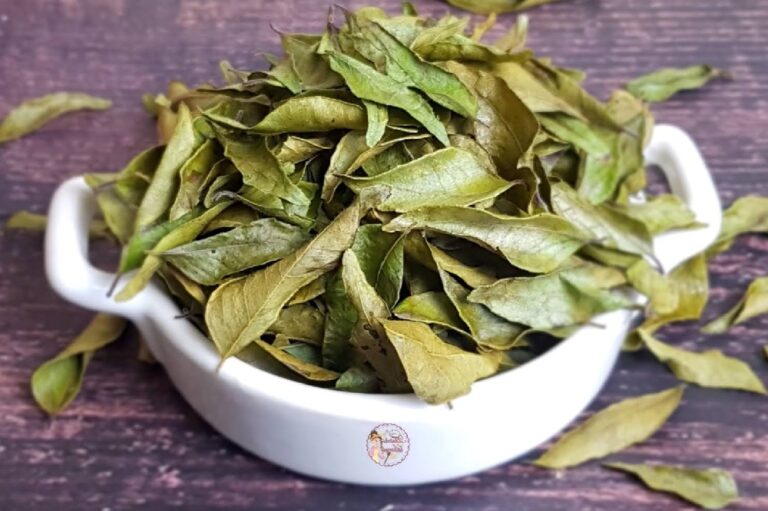 Comment utiliser les feuilles de myrte ? Comment utiliser les feuilles de myrte ?