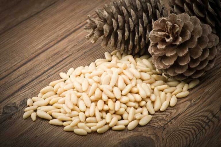 Comment utiliser les pignons de pin ? Comment utiliser les pignons de pin ?