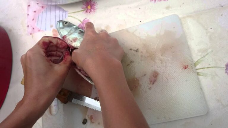 Comment vider 1 maquereau ?