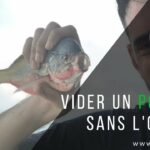 Comment vider un poisson sans l'ouvrir ?