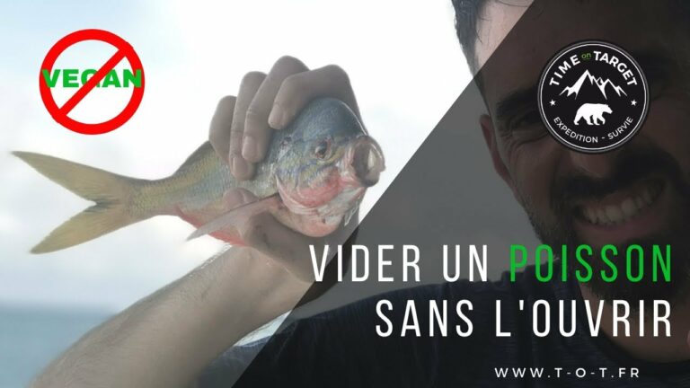 Comment vider un poisson sans l’ouvrir ? Comment vider un poisson sans l'ouvrir ?