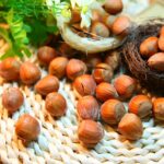 Est-ce bon de manger des noisettes ?