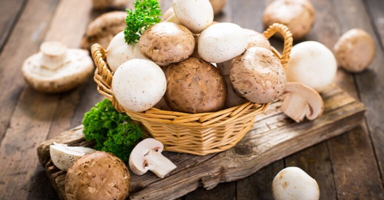Est-ce dangereux de manger des champignons de Paris crus ?