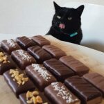 Est-ce dangereux de manger du chocolat tous les jours ?