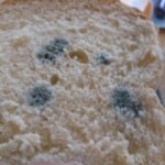Est-ce dangereux de manger du pain moisi ?