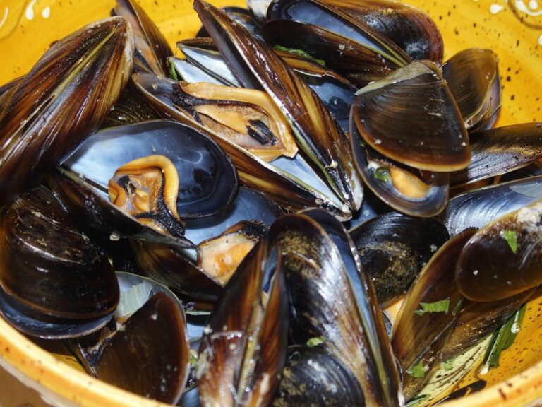 Est-ce normal que les moules sont ouvertes ? Est-ce normal que les moules sont ouvertes ?