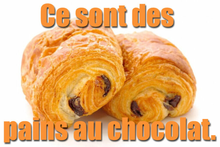 Est-ce que chocolatine est dans le dictionnaire ?