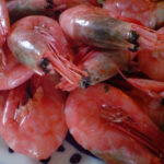 Est-ce que des crevettes se congèle ?