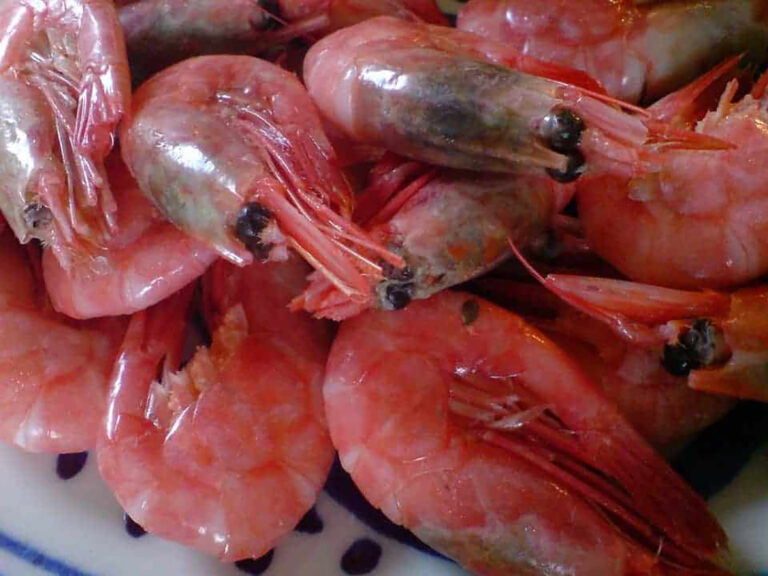 Est-ce que des crevettes se congèle ? Est-ce que des crevettes se congèle ?