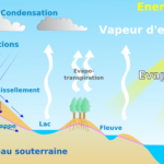 Est-ce que il y a de l'eau dans le lait ?