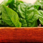 Est-ce que l épinard se mange cru ?