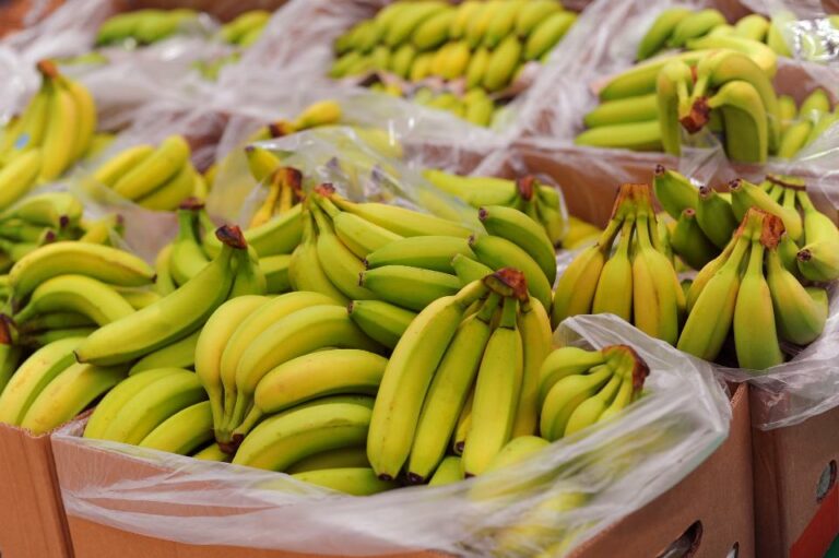 Est-ce que la banane est bon pour les diabétiques ?