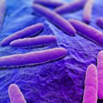 Est-ce que la congélation tue les vitamines ?