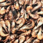 Est-ce que la crevette est halal ?