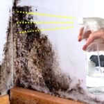 Est-ce que la javel tue les moisissures ?