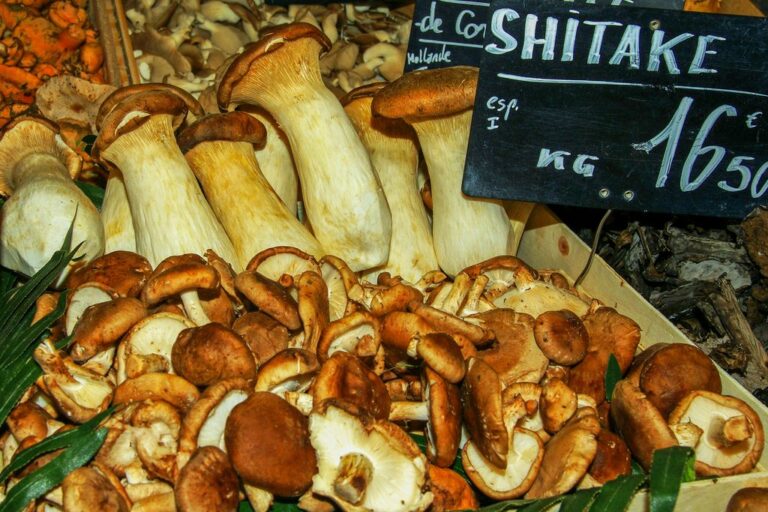 Est-ce que la peau des champignons se mange ? Est-ce que la peau des champignons se mange ?