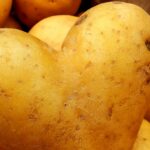 Est-ce que la pomme de terre est un légume ?