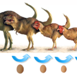 Est-ce que la poule est un dinosaure ?