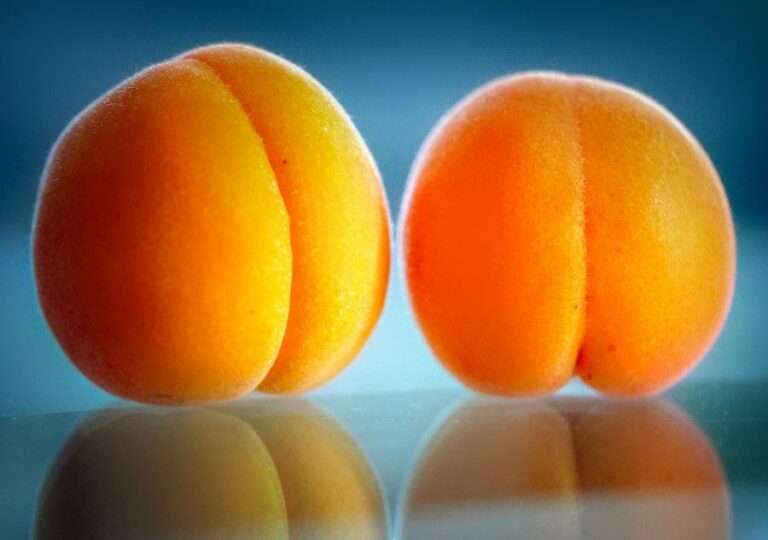 Est-ce que l'abricot est bon pour la santé ?