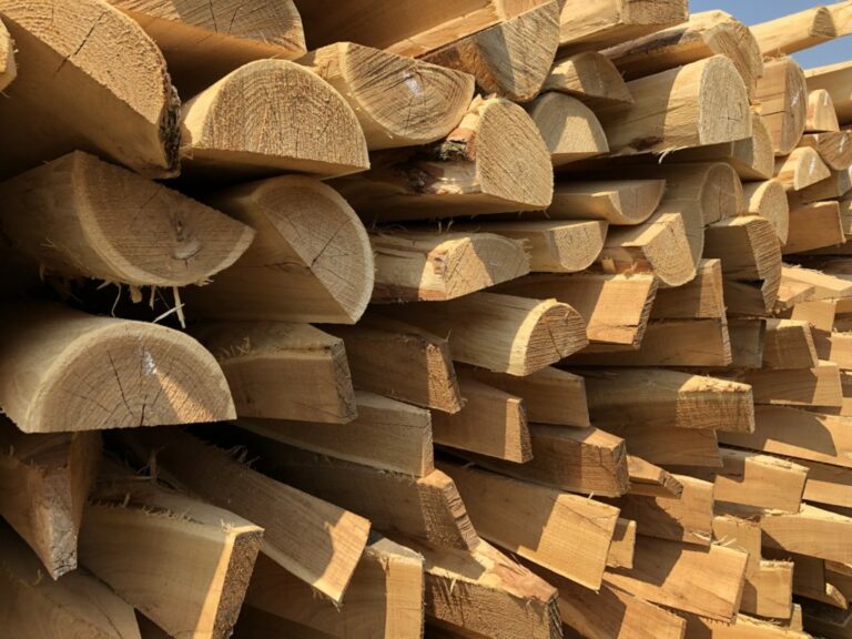 Est-ce que l’acacia est imputrescible ? Est-ce que l'acacia est imputrescible ?