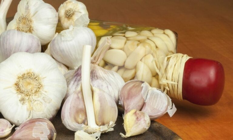 Est-ce que l'ail soigne les infections ?