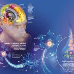 Est-ce que l'alcool se voit sur une prise de sang ?