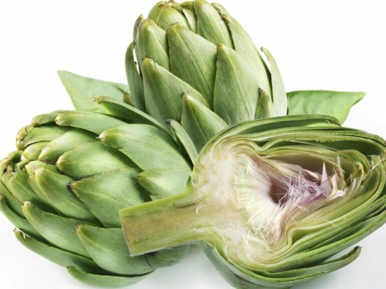 Est-ce que l'artichaut est laxatif ?