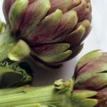 Est-ce que l'artichaut fait maigrir ?