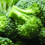 Est-ce que le brocoli peut se manger cru ?
