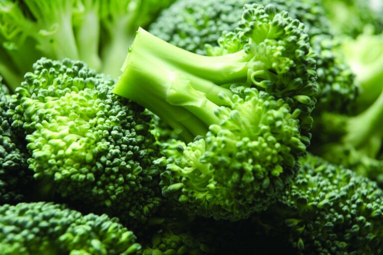 Est-ce que le brocoli peut se manger cru ? Est-ce que le brocoli peut se manger cru ?