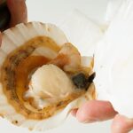 Est-ce que le corail de la St Jacques se mange ?