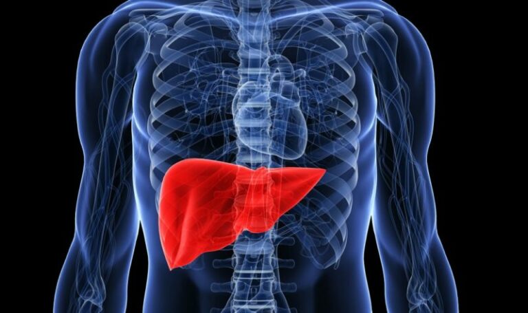 Est-ce que le foie se congelé ?