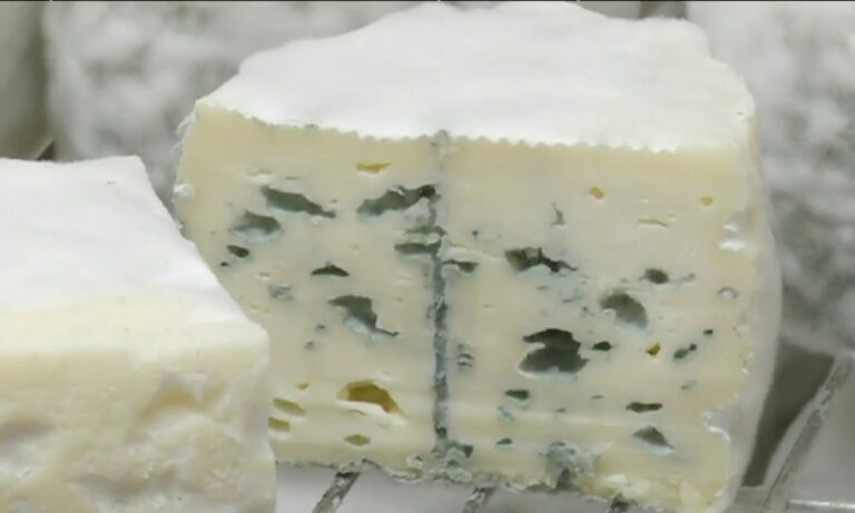 Est-ce que le fromage bleu est bon pour la santé ?