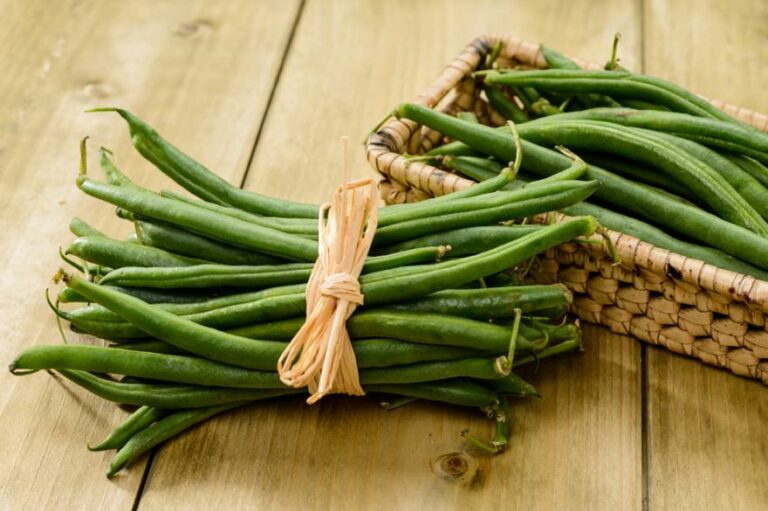 Est-ce que le haricot est un légume ?