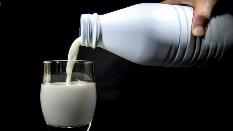 Est-ce que le lait entier est bon pour la santé ?