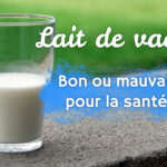 Est-ce que le lait fermenté est bon pour la santé ?