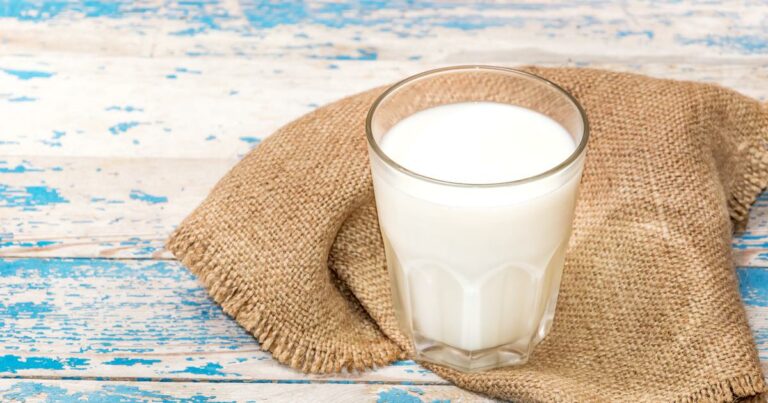 Est-ce que le lait sans lactose est du lait de vache ?