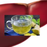 Est-ce que le maïs est bon pour le foie ?