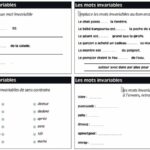 Est-ce que le mot plein est invariable ?