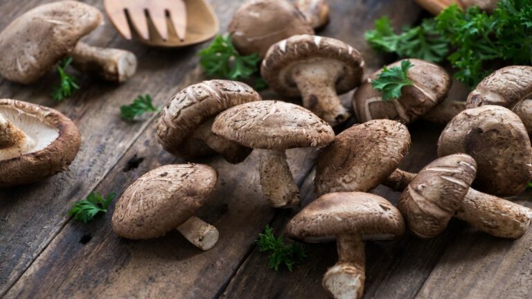 Est-ce que le pied du champignon de Paris se mange ? Est-ce que le pied du champignon de Paris se mange ?