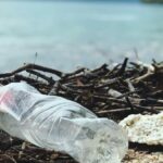 Est-ce que le plastique va au congélateur ?