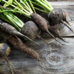 Est-ce que le radis noir est bon pour la santé ?