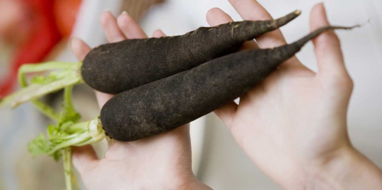 Est-ce que le radis noir fait maigrir ?