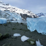 Est-ce que le risotto se réchauffe ?